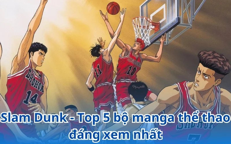 Top 5 bộ manga thể thao đáng xem - Slam Dunk là lựa chọn hoàn hảo